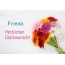 Blumen zum geburtstag fr Frieda