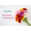 Blumen zum geburtstag fr Haymo