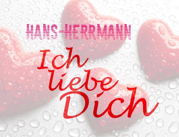 Hans-Herrmann, Ich liebe Dich!