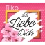 Ich liebe Dich, Tilko!