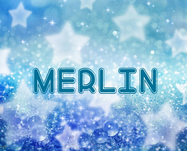 Fotos mit Namen Merlin
