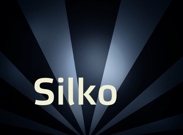 Bilder mit Namen Silko