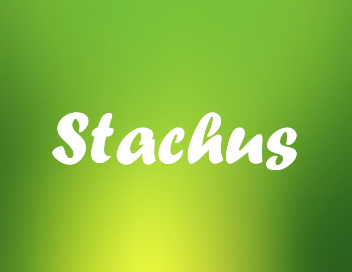 Bildern mit Namen Stachus
