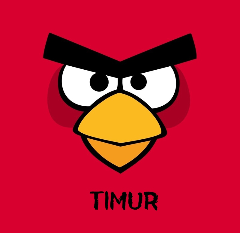 Bilder von Angry Birds namens Timur