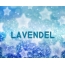 Fotos mit Namen Lavendel