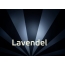 Bilder mit Namen Lavendel