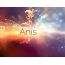 Woge der Gefhle: Avatar fr Anis