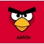 Bilder von Angry Birds namens Aaron