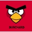 Bilder von Angry Birds namens Burchard