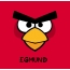 Bilder von Angry Birds namens Egmund