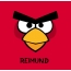 Bilder von Angry Birds namens Reimund