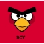Bilder von Angry Birds namens Roy