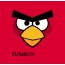 Bilder von Angry Birds namens Elisabeth