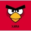 Bilder von Angry Birds namens Xara