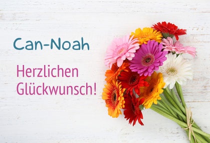 Blumen zum geburtstag fr Can-Noah