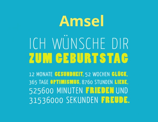 Amsel, Ich wünsche dir zum geburtstag... Amsel, Ich wünsche dir zum geburtstag...