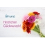 Blumen zum geburtstag fr Bruno