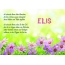 Ein schnes Happy Birthday Gedicht fr Elis