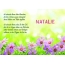 Ein schnes Happy Birthday Gedicht fr Natalie