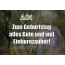 Zum Geburtstag alles Gute und viel Einhornzauber fr Adi!