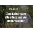 Zum Geburtstag alles Gute und viel Einhornzauber fr Carlie!