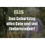 Zum Geburtstag alles Gute und viel Einhornzauber fr Elis!