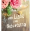 Alles Liebe zum Geburtstag Adil!