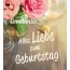 Alles Liebe zum Geburtstag Constantin!