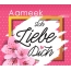 Ich liebe Dich, Aameek!