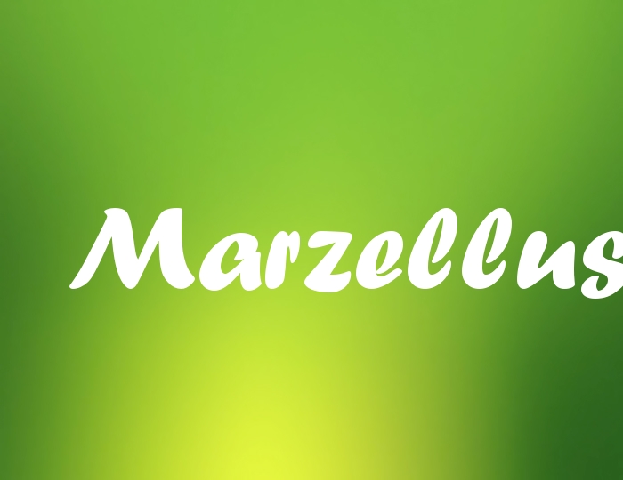 Bildern mit Namen Marzellus