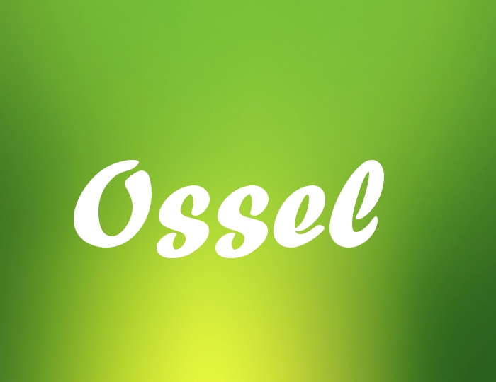 Bildern mit Namen Ossel