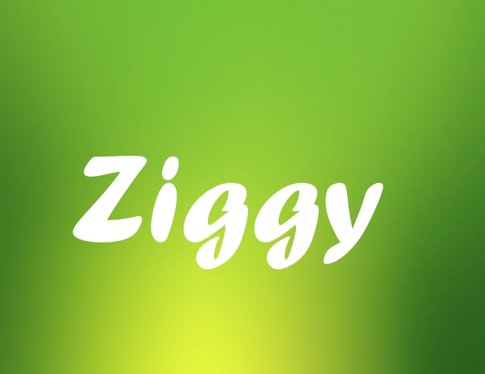 Bildern mit Namen Ziggy Bildern mit Namen Ziggy