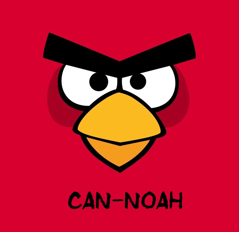 Bilder von Angry Birds namens Can-Noah