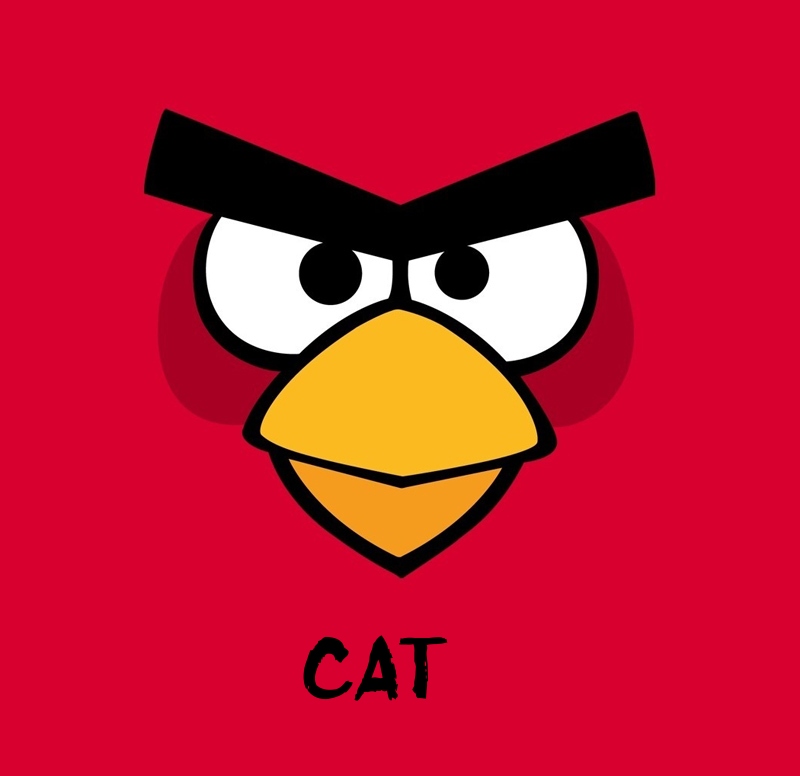 Bilder von Angry Birds namens Cat