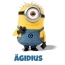 Avatar mit dem Bild eines Minions fr gidius