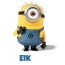 Avatar mit dem Bild eines Minions fr Eik