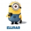 Avatar mit dem Bild eines Minions fr Ellmar