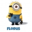 Avatar mit dem Bild eines Minions fr Florus