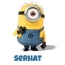 Avatar mit dem Bild eines Minions fr Serhat