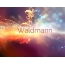 Woge der Gefhle: Avatar fr Waldmann