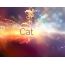 Woge der Gefhle: Avatar fr Cat