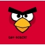 Bilder von Angry Birds namens Sam-Robert
