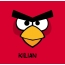 Bilder von Angry Birds namens Kilian