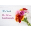 Blumen zum geburtstag fr Florinus