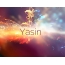 Woge der Gefhle: Avatar fr Yasin