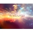Woge der Gefhle: Avatar fr Walburga