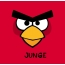 Bilder von Angry Birds namens Junge